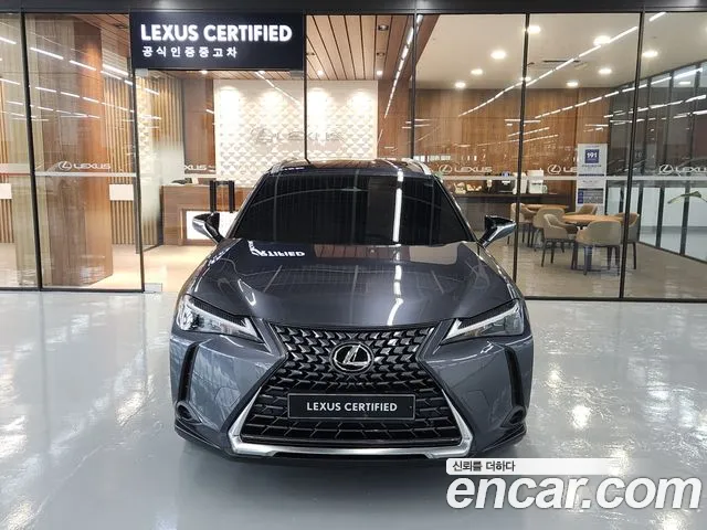 Lexus UX UX300h — Фото автомобиля 3
