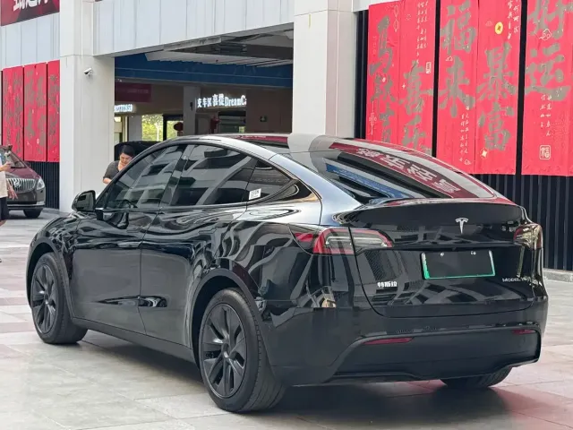 Tesla Model Y — Фото автомобиля 14