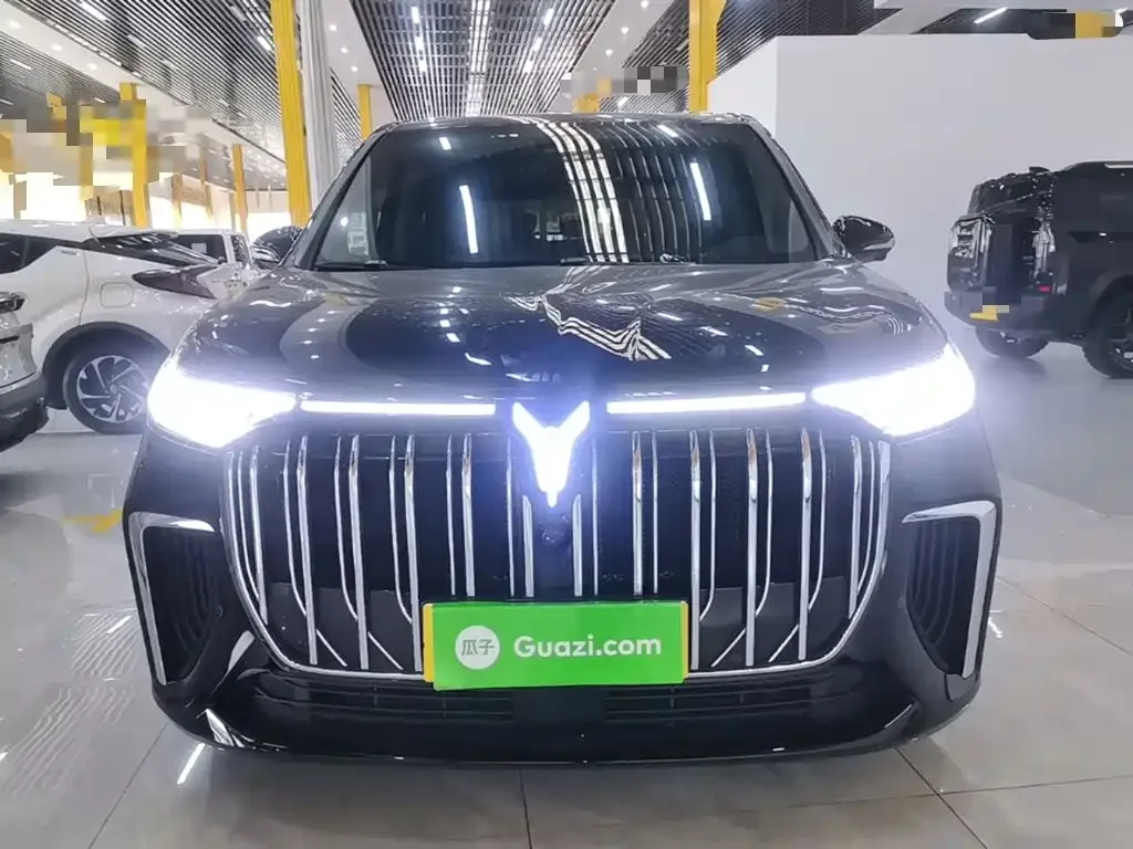 Voyah Auto Voyah Dreamer 2024 PHEV Extended Range Flagship Edition — Фото автомобиля 2