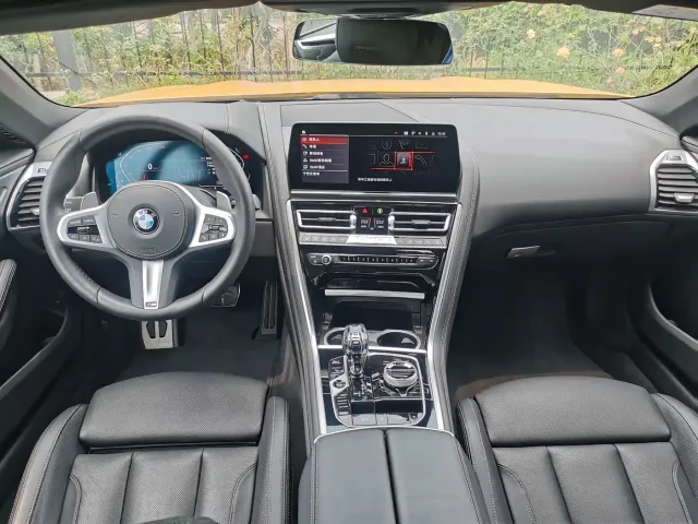 BMW 8 Series — Фото автомобиля 16