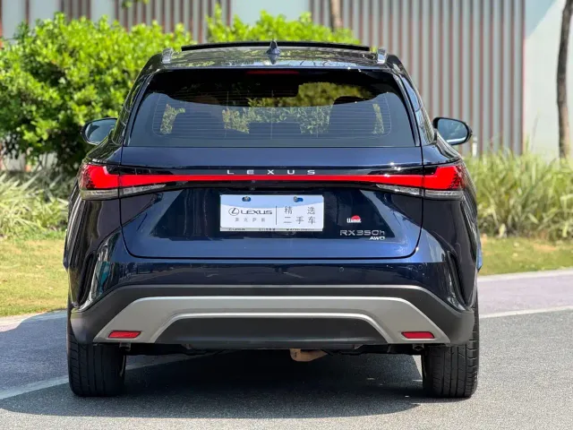Lexus RX — Фото автомобиля 15