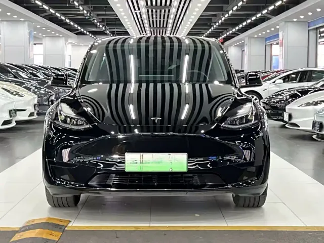 Tesla Model Y — Фото автомобиля 2