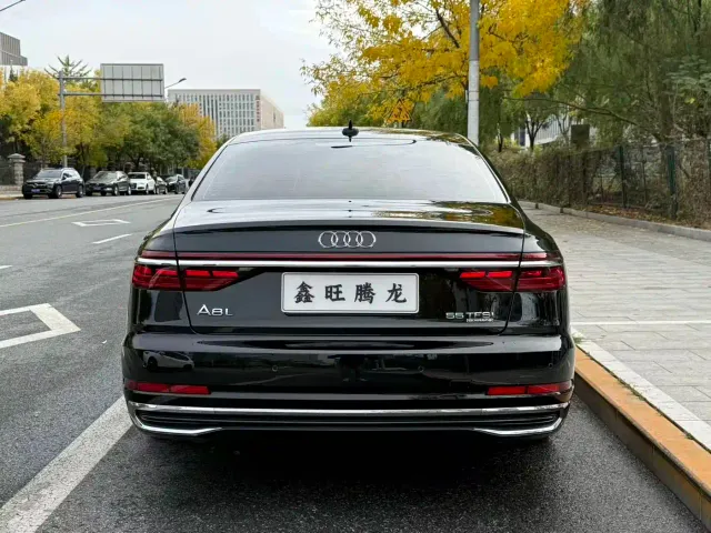 Audi A8 — Фото автомобиля 19