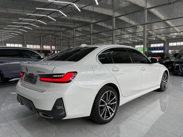 BMW 3 Series — Фото автомобиля 9