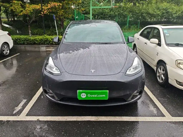 Tesla Model Y — Фото автомобиля 2
