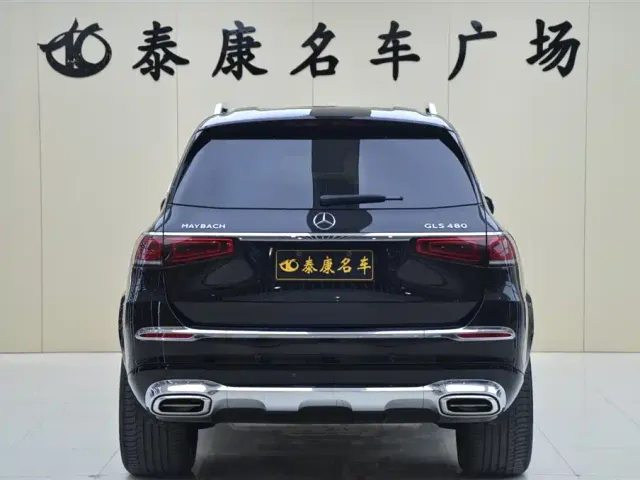 Mercedes-Benz Maybach GLS — Фото автомобиля 3