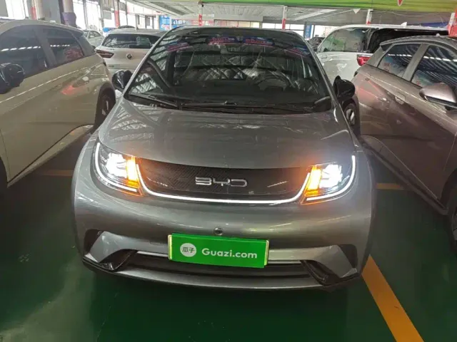 BYD Dolphin — Фото автомобиля 2