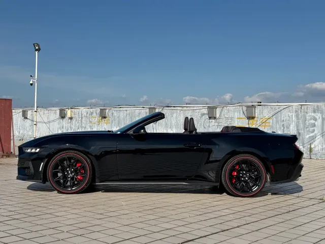 Ford Mustang — Фото автомобиля 16