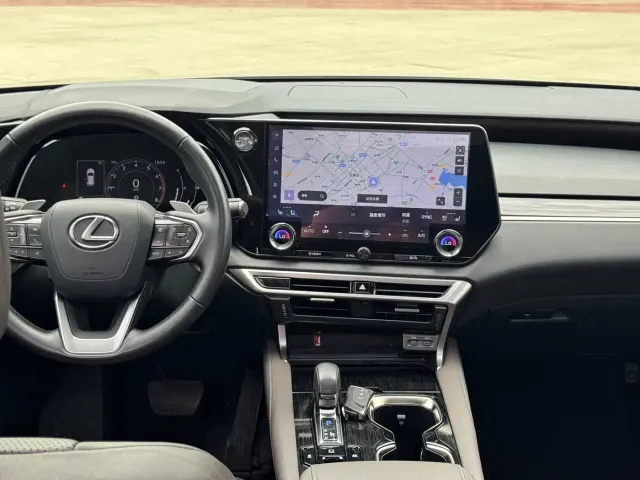 Lexus RX — Фото автомобиля 14
