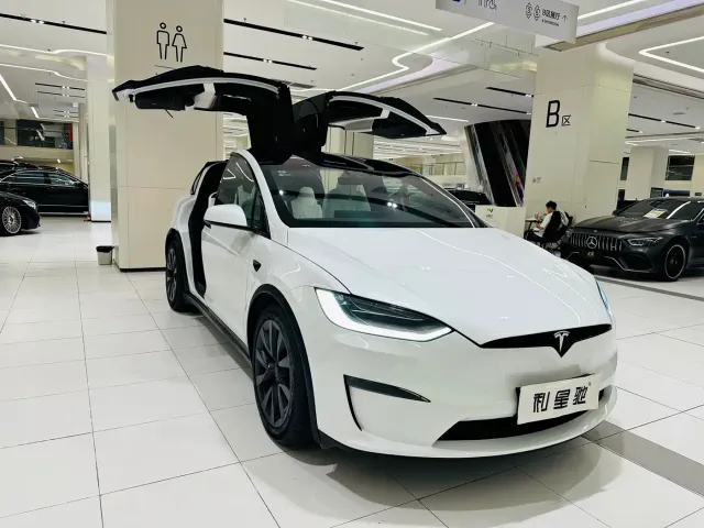 Tesla Model X — Фото автомобиля 2