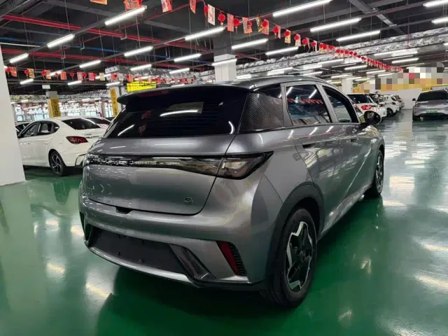 BYD Dolphin — Фото автомобиля 6