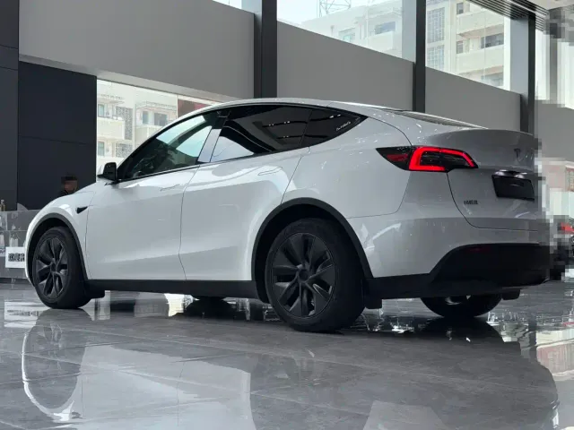 Tesla Model Y — Фото автомобиля 9
