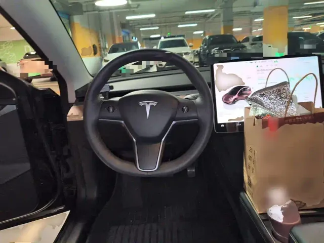 Tesla Model 3 — Фото автомобиля 6
