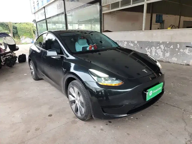 Tesla Model Y — Фото автомобиля 3