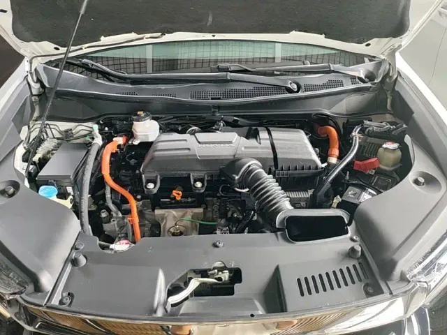 Honda Elysion — Фото автомобиля 19