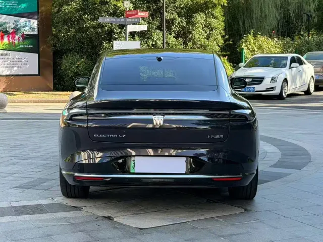Buick Electra L7 — Фото автомобиля 8