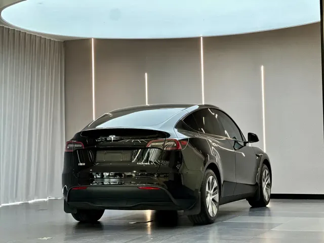 Tesla Model Y — Фото автомобиля 8