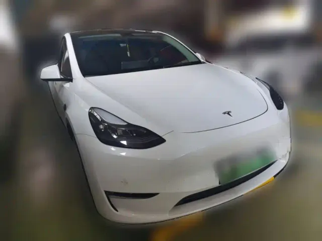 Tesla Model Y — Фото автомобиля 23