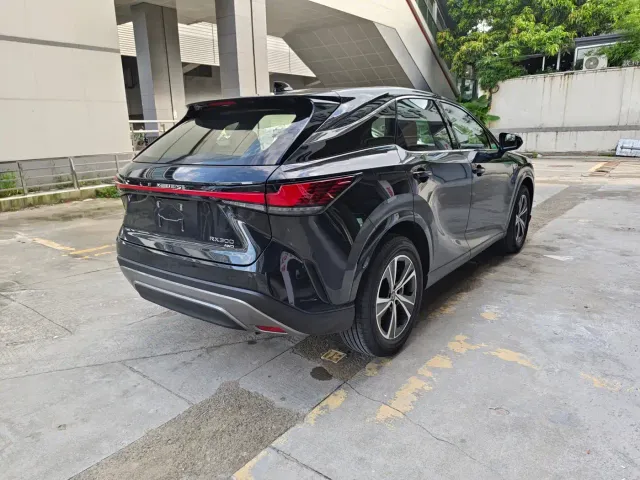 Lexus RX — Фото автомобиля 7