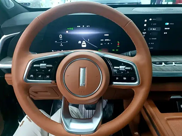 Wey Lanshan — Фото автомобиля 10