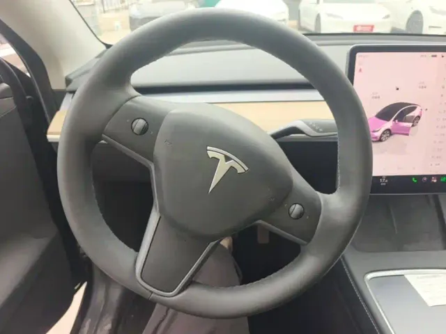 Tesla Model Y — Фото автомобиля 10