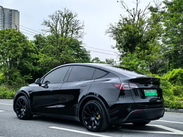 Tesla Model Y — Фото автомобиля 4