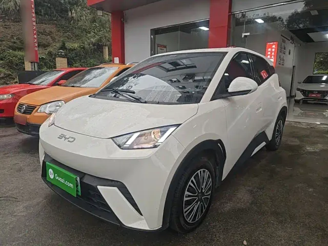 Фотография автомобиля — BYD Seagull