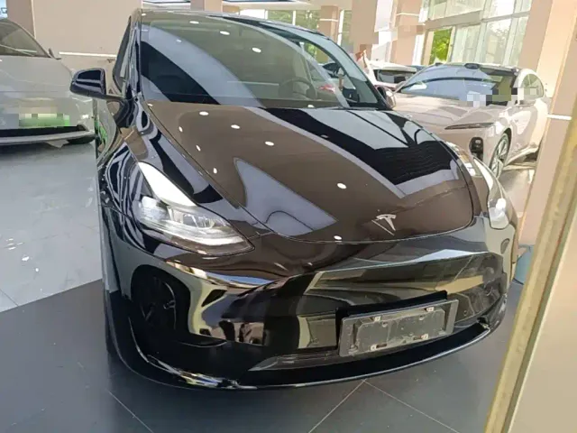 Tesla Model Y — Фото автомобиля 2