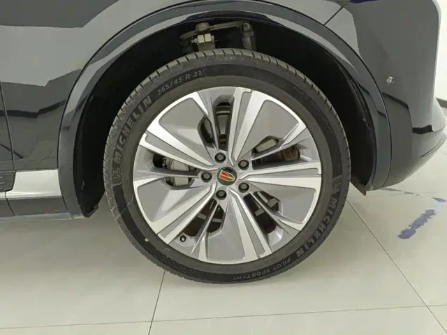 Hongqi E-HS9 — Фото автомобиля 6
