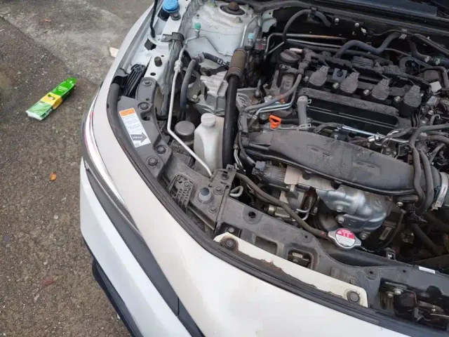 Honda Civic — Фото автомобиля 20