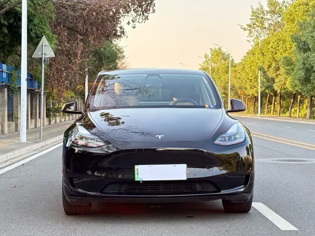 Tesla Model Y — Фото автомобиля 2