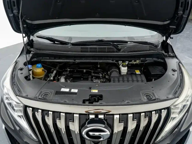 GAC Trumpchi M8 — Фото автомобиля 22
