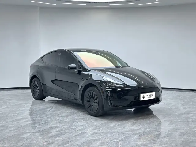 Tesla Model Y — Фото автомобиля 3
