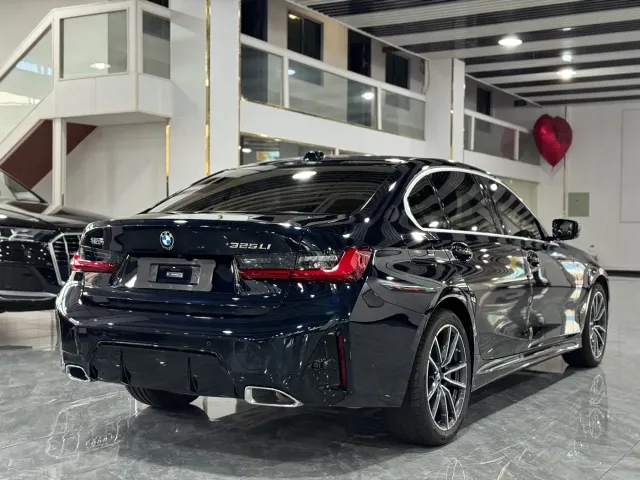 BMW 3 Series — Фото автомобиля 14