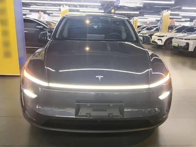Tesla Model Y — Фото автомобиля 2