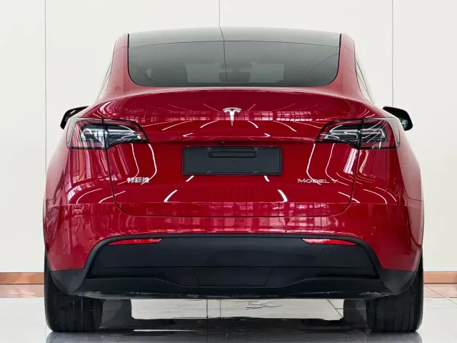 Tesla Model Y — Фото автомобиля 3