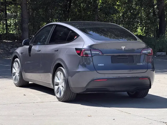 Tesla Model Y — Фото автомобиля 4