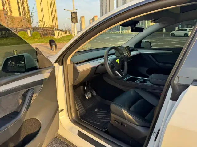 Tesla Model Y — Фото автомобиля 4
