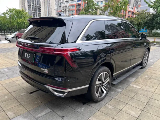 Wey Lanshan — Фото автомобиля 5
