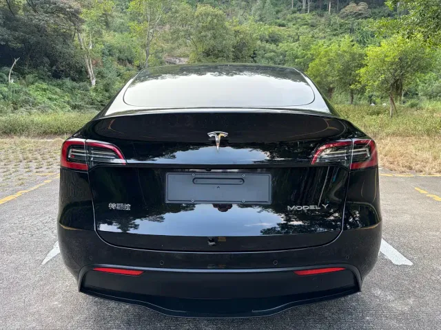 Tesla Model Y — Фото автомобиля 8