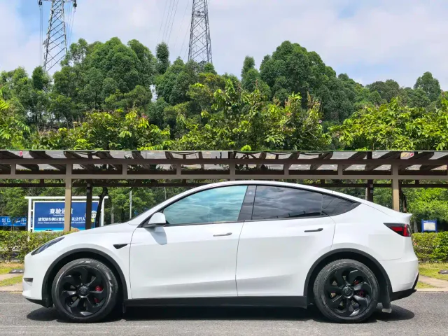 Tesla Model Y — Фото автомобиля 4