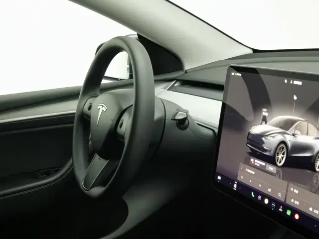 Tesla Model Y — Фото автомобиля 22