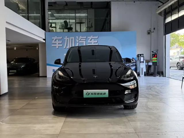 Tesla Model Y — Фото автомобиля 2