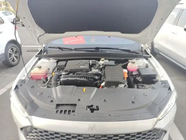 BYD Qin PLUS — Фото автомобиля 19