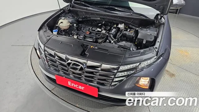 Hyundai Tucson Tucson (NX4) Бензин 1.6 турбо 2WD — Фото автомобиля 6
