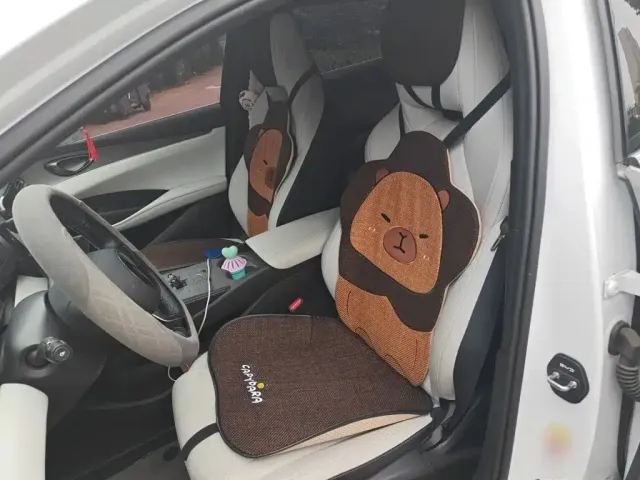 BYD Seal 06 — Фото автомобиля 11