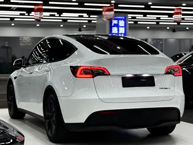 Tesla Model Y — Фото автомобиля 4