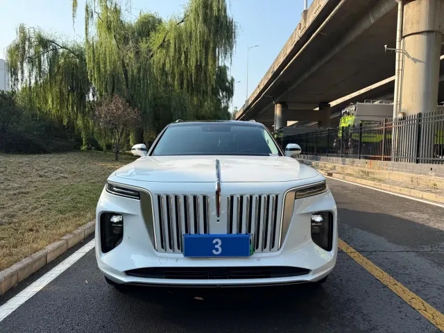 Hongqi E-HS9 — Фото автомобиля 2