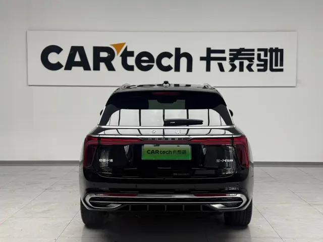 Hongqi E-HS9 — Фото автомобиля 11