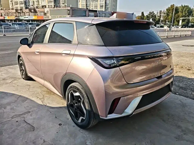 BYD Dolphin — Фото автомобиля 4